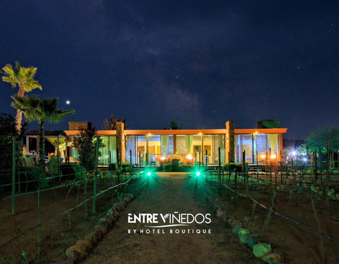 Entre Vinedos By Hotel Boutique บาเย เด กัวลาลูเป ภายนอก รูปภาพ